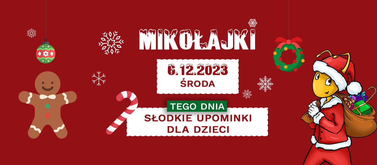 zdjęcie na stronie głównej