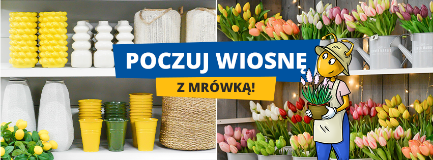 zdjęcie na stronie głównej